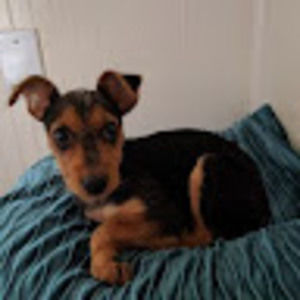 Meet your Posher, Rebecca